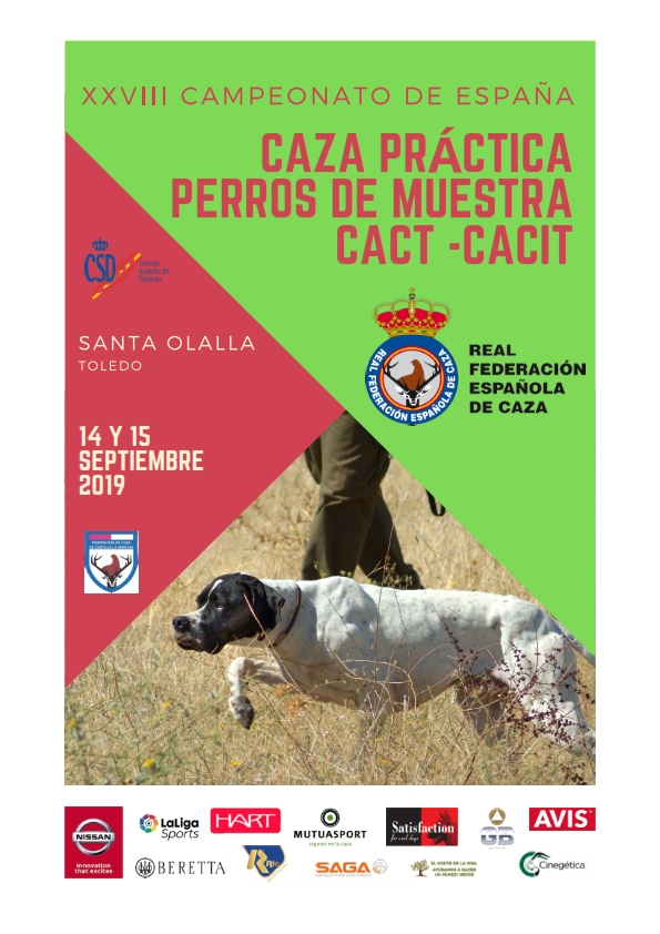 Abierta la inscripción para el Campeonato de España de Caza Práctica - Perros de Muestra 2019